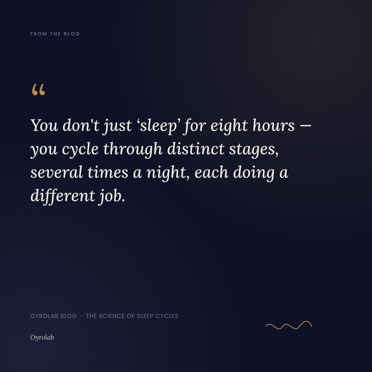 The Science of Sleep Cycles